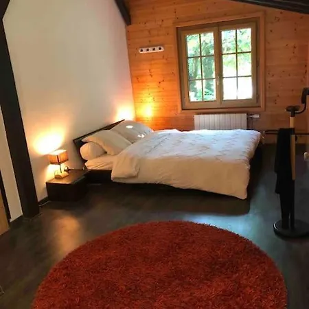Chalet Avec Et Etang A Proximite Du Anthy-sur-Leman